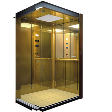 Mrl 630kg Passenger Elevator